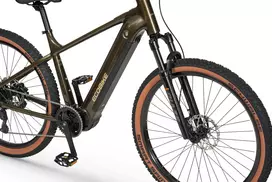 Elektrinis dviratis Ecobike SX300 Green V2 900Wh-21"