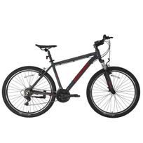 BISAN Atlas V-25 mountain bike, gray/red (male)