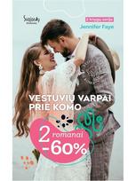 Vestuvių varpai prie Komo (2 knygos)