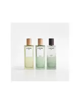 AIRE SUTILEZA ELIKSIRAS 50 ML