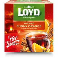 Vaisinė arbata LOYD WARMING ORANGE, 20 vnt.