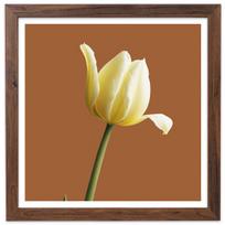 Rudas nuotraukų rėmelis 30x30 cm FRAMAI®