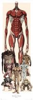 Plakatas "attack on Titan" 53x158 cm