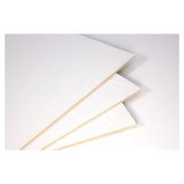 Kartonas su drobe gruntuotas 30x30 cm