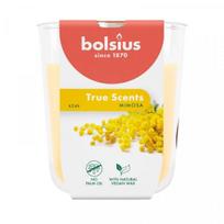 Bolsius True Scents kvapioji žvakė stiklinėje Ø80x73mm mimosa