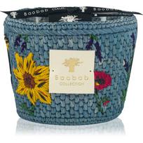 Baobab Collection Vony Tanteli kvapioji žvakė 500 g
