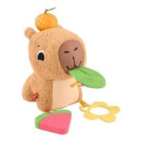 Fisher Price HYR54 Kapibara