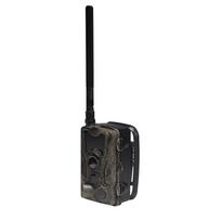 IP kamera Denver fotomedžioklės kamera Denver WCL-8040 | WCL-8040 | 5706751066887