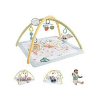 Fisher-Price Sensimals Simply Senses Newborn Gym Baby Activity Mat