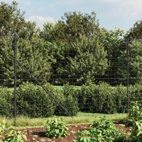 Vielinė tinklinė tvora su smaigais antracito spalvos 16x25m