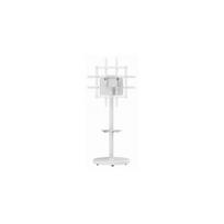 Gembird TV uchwyt 37" - 86" TV floor stand 8716309135047 TVS-86TR-01-W (8716309135047) | TVS-86TR-01-W | 8716309135047