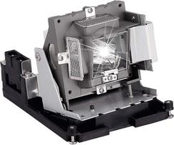 BL-FU310B/5811118436-SVV keičiamoji projektoriaus lempa su korpusu, skirta OPTOMA EH500 X600 BR561 VIVITEK D966HD D967 D968U projektoriams