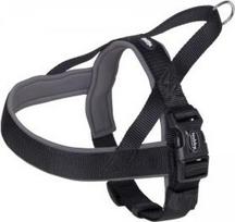 Petnešos šunims Nobby Classic Preno, juoda sp., 600 - 760 mm x 35 mm, L