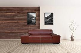 Tikros odos 2 vietų sofa London Plotis 190 cm Odinė sofa Tikros odos sofa Didelis spalvų pasirinkimas