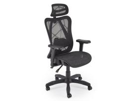 Ergonominė darbo kėdė XERON