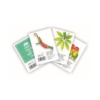 Klijuotas bloknotas langeliais, A7, 50 lapų