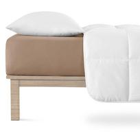 Paklodė iš jersey audinio rudos spalvos su guma 200x200 cm Boxspring – Andrea Simone