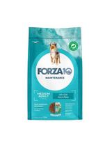 FORZA10 Medium Adult Maintenance Fish vidutinio dydžio šunims 12 kg