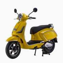Elektrinis motoroleris / mopedas E-BIENE, 1kW 32AH Ličio jonų ⚡️ eMOTO