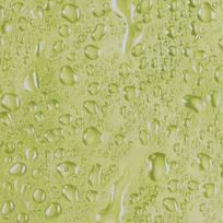 Užuolaida voniai water 180x200 cm, žalia