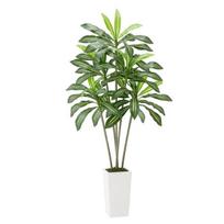Dirbtinė Dracena su baltu vazonu