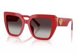 Dolce & Gabbana Dolce & Gabbana 4538 30888G 54
