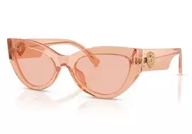 Dolce & Gabbana Dolce & Gabbana 4536 322684 55