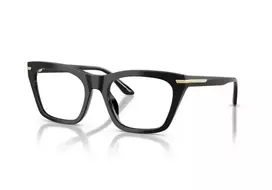 Emporio Armani 3283BU 5017 53