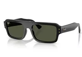 Ray-Ban 4454 667731 56