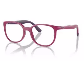Ray-Ban 1631 3933 47 Akinių rėmeliai Unisex