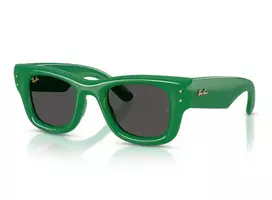 Ray-Ban 4940 683487 47 Akiniai nuo saulės Unisex