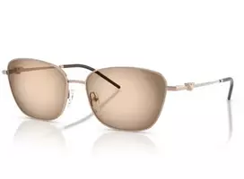 Emporio Armani 2170 301113 57 Akiniai nuo saulės Moterims