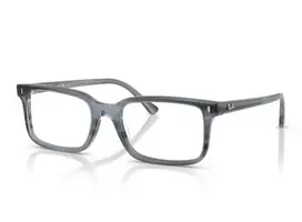 Ray-Ban 5445 8456 54 Akinių rėmeliai Unisex