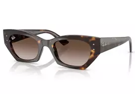 Ray-Ban 4430 135913 49 Akiniai nuo saulės Unisex