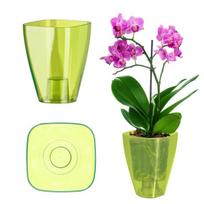 Vazonas orchidėjoms Kadax plastikinis su stovu, žalias, 9 cm