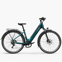 Fiido Fido Electric Bike C11, Emerald Green