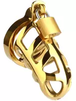 Mr. Steel Brutal Chastity Cage Gold