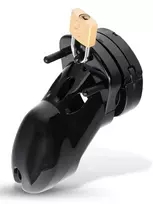 Custody Chastity Cage