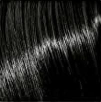 Kiss (Quick Cover Gray Hair Touch Up Stick) Black plaukų priemonė