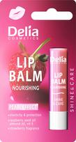 Lūpų balzamas Delia Cosmetics Shine & Care, 4.8 g