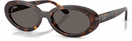 Moteriškas Akiniai RAY-BAN RB2223 902/B1