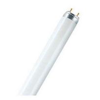 Liuminescencinė lempa OSRAM L4-L36840, 36 W, T8, 840, 4000 K, FLH1