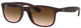 Universalus Akiniai RAY-BAN RB4202 607313