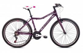 Kalnų dviratis Capriolo MTB Attack L, 26", violetinis/rožinis, Rėmas 19