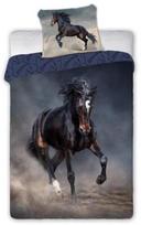 Animal Pictures patalynės komplektas Black Horse, 140 x 200 cm