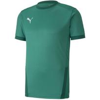 Vyriškas marškinėlis Puma teamGOAL 23 Jersey žalias 704171 05