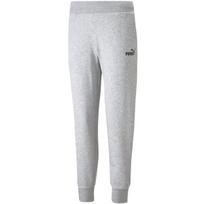 Moteriškos kelnės Puma ESS Sweatpants FL, pilkos 586839 04, 2XL