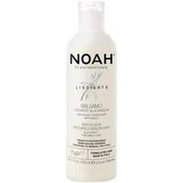 Noah - 2.7 Smoothing Conditioner With Vanilla Plaukų kondicionieriai 250 ml unisex