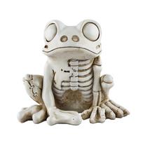 Baisus dervos skeletas arklys skeletas kaulai Tobulas stalo dekoras Helovino šventei Knygų lentyna Langų vitrina FROGS