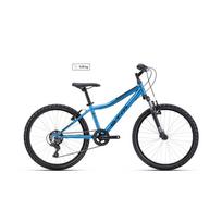 CTM Berry 24" - 2026 - matt blue dviratis
